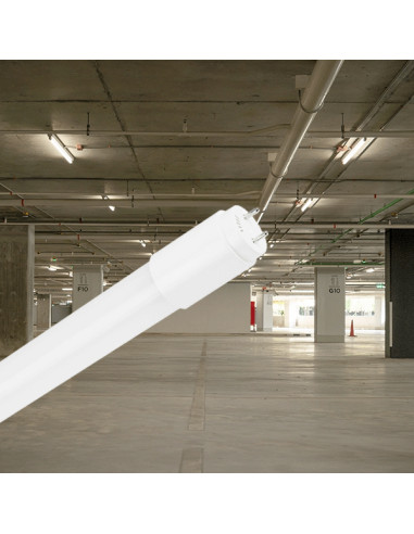Tube LED 150CM T8 / 24W 6500K