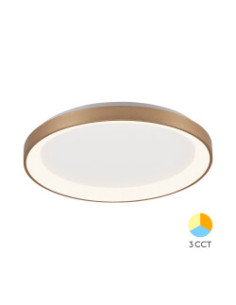 Plafonnier Décoratif LED -...