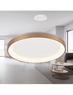 Plafonnier Décoratif LED -... 2