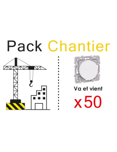 Lot de 50 Va et vient 10A Blanc TOP CHANTIER
