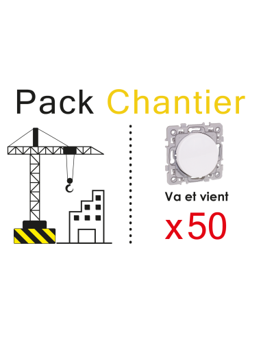 Lot de 50 Va et vient 10A Blanc TOP CHANTIER