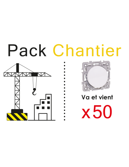 Lot de 50 Va et vient 10A Blanc TOP CHANTIER