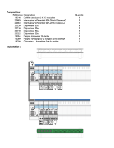 Tableau Électrique monté-câblé - Prêt à poser pour Logement T1 ou T2 2