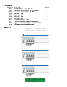 Tableau Électrique monté-câblé - Prêt à poser pour Logement T3 ou T4 2