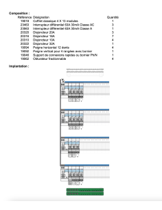 Tableau Électrique monté-câblé - Prêt à poser pour Logement T4 ou T5 2