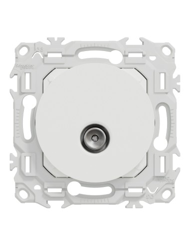 Odace 2025 - Prise TV simple mâle - Sortie coaxiale - Blanc craie