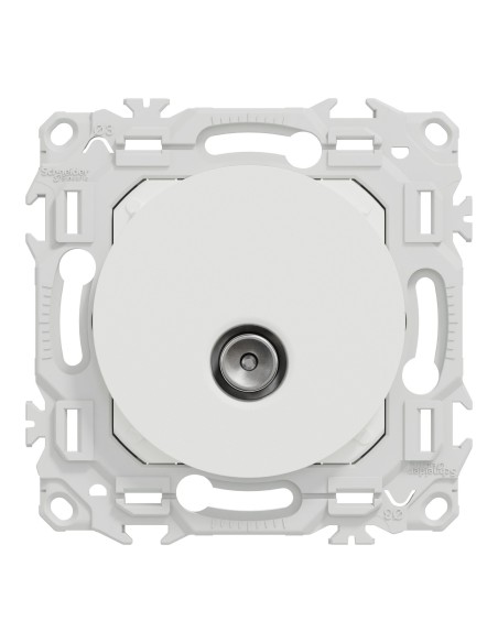 Odace 2025 - Prise TV simple mâle - Sortie coaxiale - Blanc craie